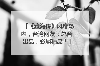 《藏海传》风靡岛内，台湾网友：总台出品，必属精品！